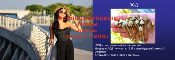стаф Кулебаки