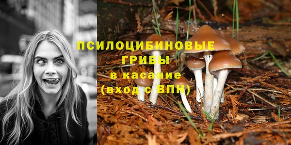 марихуана Куйбышев