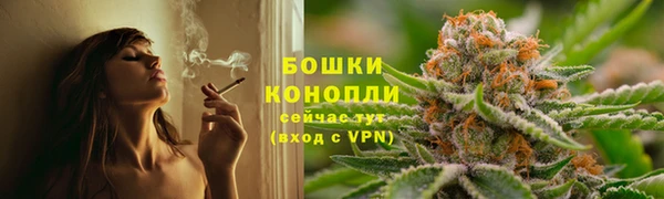 стаф Кулебаки