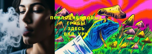 стаф Кулебаки