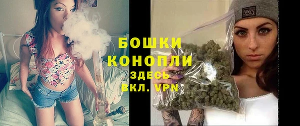 стаф Кулебаки