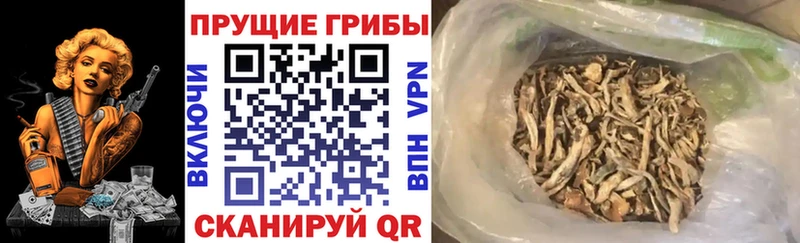 Псилоцибиновые грибы Magic Shrooms  Полярные Зори 